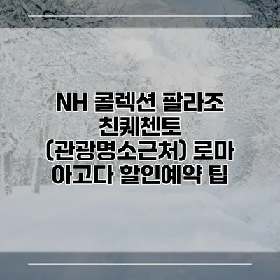 NH 콜렉션 팔라조 친퀘첸토 (관광명소근처) 로마 아고다 할인예약 팁