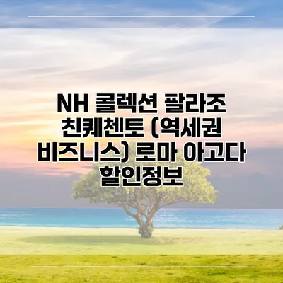 NH 콜렉션 팔라조 친퀘첸토 (역세권 비즈니스) 로마 아고다 할인정보