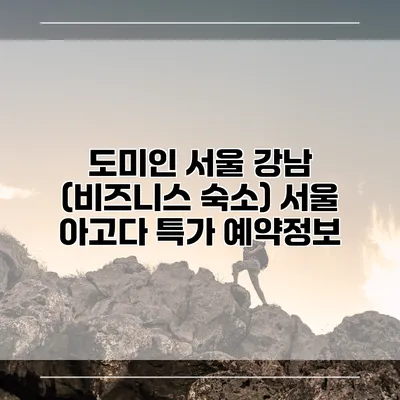 도미인 서울 강남 (비즈니스 숙소) 서울 아고다 특가 예약정보