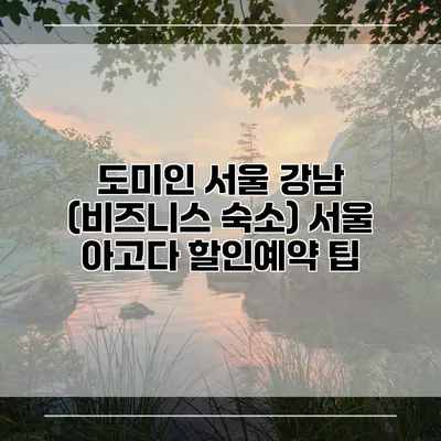 도미인 서울 강남 (비즈니스 숙소) 서울 아고다 할인예약 팁