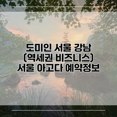 도미인 서울 강남 (역세권 비즈니스) 서울 아고다 예약정보