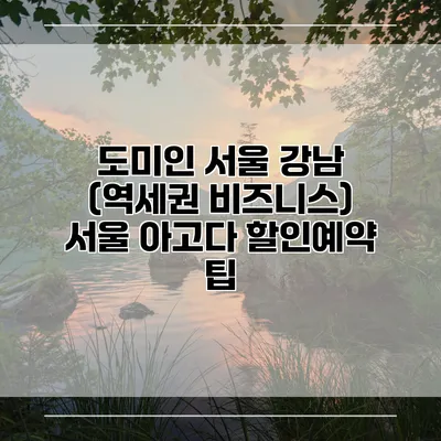 도미인 서울 강남 (역세권 비즈니스) 서울 아고다 할인예약 팁