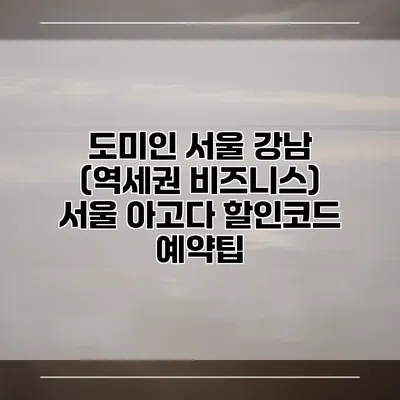 도미인 서울 강남 (역세권 비즈니스) 서울 아고다 할인코드 예약팁