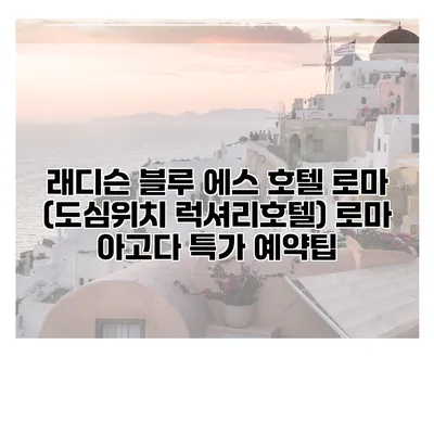 래디슨 블루 에스 호텔 로마 (도심위치 럭셔리호텔) 로마 아고다 특가 예약팁