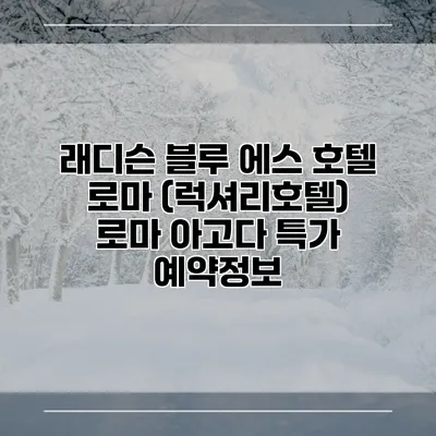 래디슨 블루 에스 호텔 로마 (럭셔리호텔) 로마 아고다 특가 예약정보