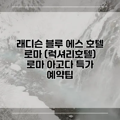 래디슨 블루 에스 호텔 로마 (럭셔리호텔) 로마 아고다 특가 예약팁