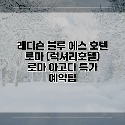 래디슨 블루 에스 호텔 로마 (럭셔리호텔) 로마 아고다 특가 예약팁