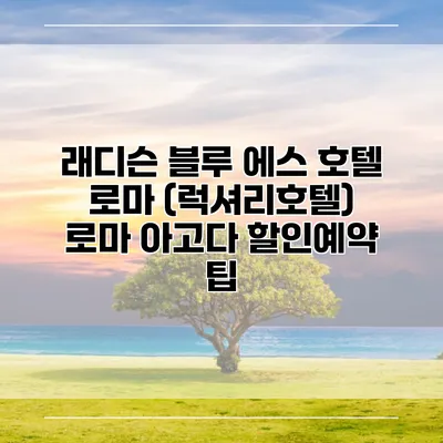 래디슨 블루 에스 호텔 로마 (럭셔리호텔) 로마 아고다 할인예약 팁