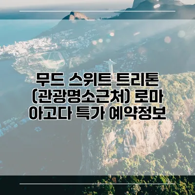 무드 스위트 트리톤 (관광명소근처) 로마 아고다 특가 예약정보