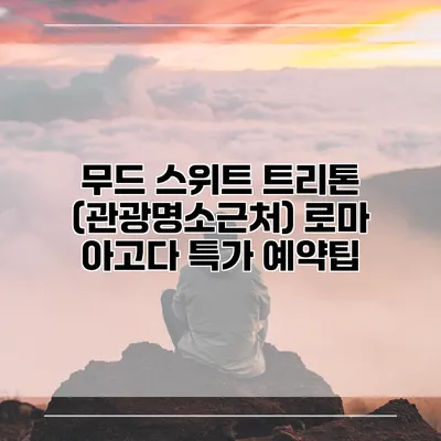 무드 스위트 트리톤 (관광명소근처) 로마 아고다 특가 예약팁