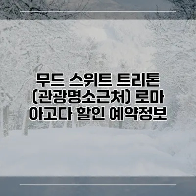 무드 스위트 트리톤 (관광명소근처) 로마 아고다 할인 예약정보