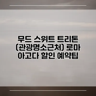무드 스위트 트리톤 (관광명소근처) 로마 아고다 할인 예약팁