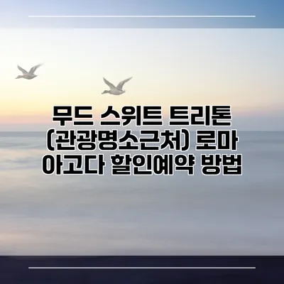 무드 스위트 트리톤 (관광명소근처) 로마 아고다 할인예약 방법
