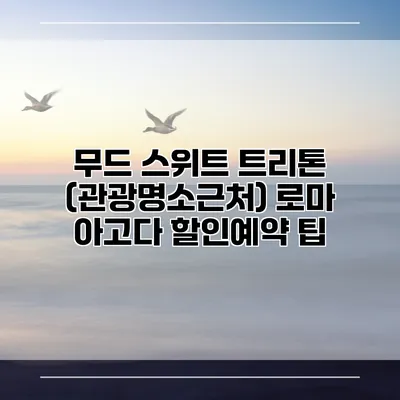 무드 스위트 트리톤 (관광명소근처) 로마 아고다 할인예약 팁