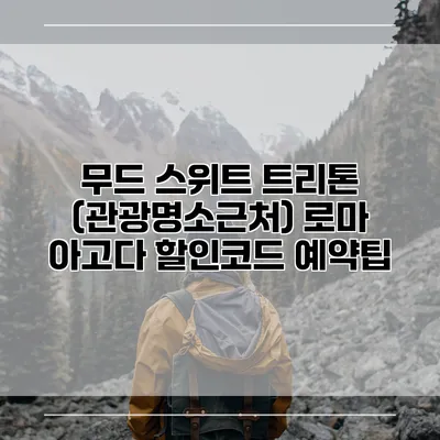 무드 스위트 트리톤 (관광명소근처) 로마 아고다 할인코드 예약팁