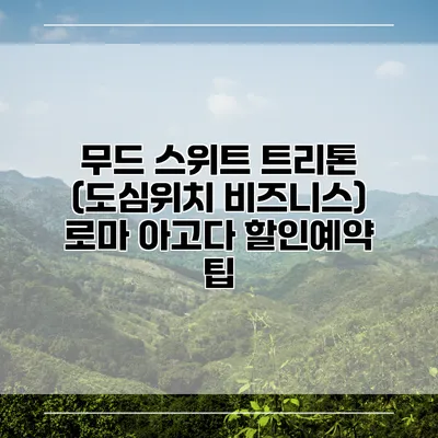 무드 스위트 트리톤 (도심위치 비즈니스) 로마 아고다 할인예약 팁