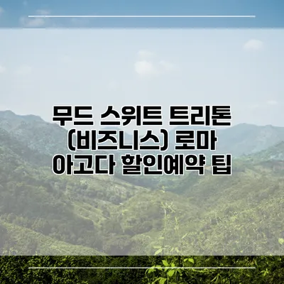 무드 스위트 트리톤 (비즈니스) 로마 아고다 할인예약 팁