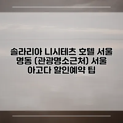 솔라리아 니시테츠 호텔 서울 명동 (관광명소근처) 서울 아고다 할인예약 팁