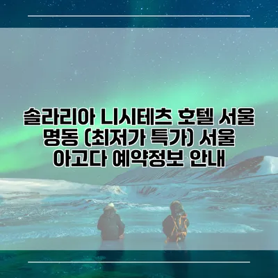 솔라리아 니시테츠 호텔 서울 명동 (최저가 특가) 서울 아고다 예약정보 안내