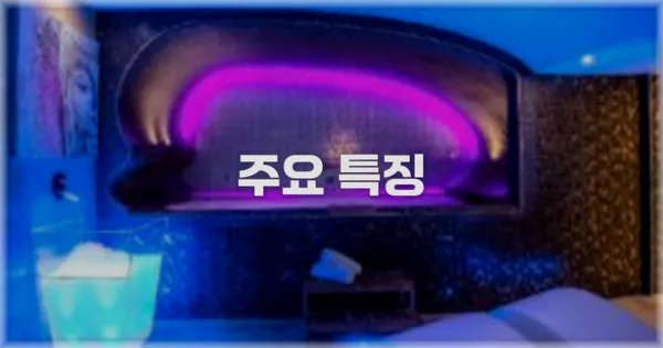 ✨ 주요 특징