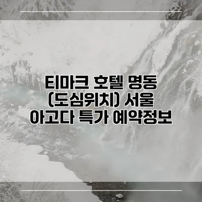 티마크 호텔 명동 (도심위치) 서울 아고다 특가 예약정보