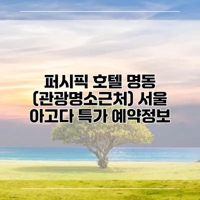 퍼시픽 호텔 명동 (관광명소근처) 서울 아고다 특가 예약정보