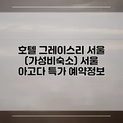 호텔 그레이스리 서울 (가성비숙소) 서울 아고다 특가 예약정보