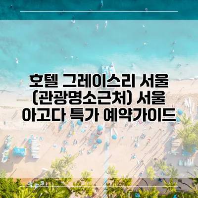 호텔 그레이스리 서울 (관광명소근처) 서울 아고다 특가 예약가이드