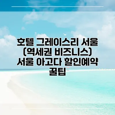 호텔 그레이스리 서울 (역세권 비즈니스) 서울 아고다 할인예약 꿀팁