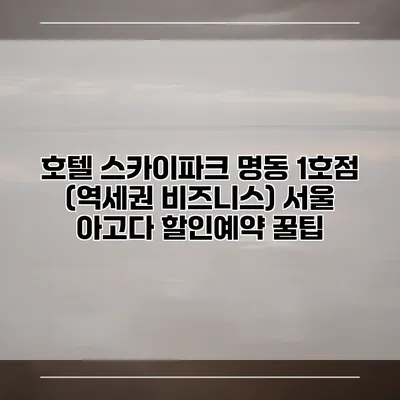 호텔 스카이파크 명동 1호점 (역세권 비즈니스) 서울 아고다 할인예약 꿀팁
