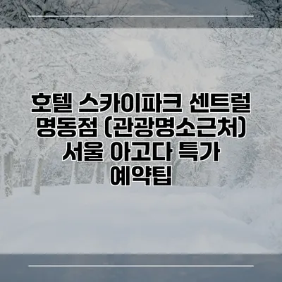 호텔 스카이파크 센트럴 명동점 (관광명소근처) 서울 아고다 특가 예약팁