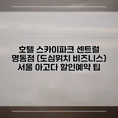 호텔 스카이파크 센트럴 명동점 (도심위치 비즈니스) 서울 아고다 할인예약 팁