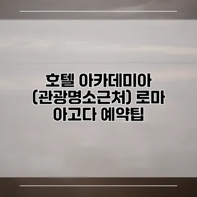 호텔 아카데미아 (관광명소근처) 로마 아고다 예약팁