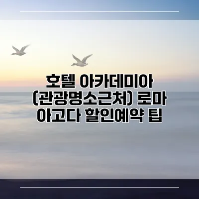 호텔 아카데미아 (관광명소근처) 로마 아고다 할인예약 팁