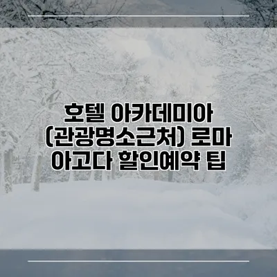 호텔 아카데미아 (관광명소근처) 로마 아고다 할인예약 팁