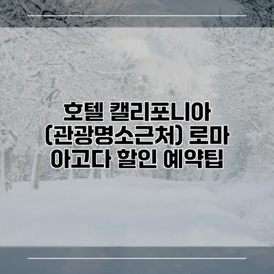 호텔 캘리포니아 (관광명소근처) 로마 아고다 할인 예약팁