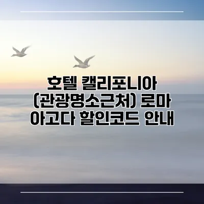 호텔 캘리포니아 (관광명소근처) 로마 아고다 할인코드 안내
