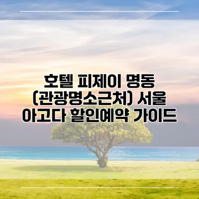 호텔 피제이 명동 (관광명소근처) 서울 아고다 할인예약 가이드